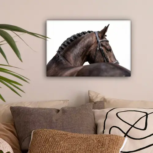 Portret - Paard - Elegant canvas 2cm klein -sfeer1