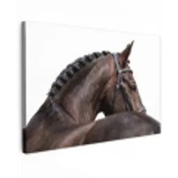 Portret - Paard - Elegant canvas 2cm klein -z3d