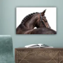 Portret - Paard - Elegant canvas 2cm klein -sfeer4