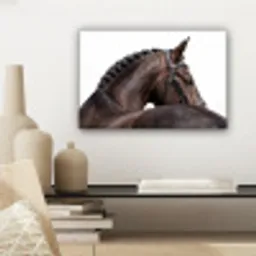 Portret - Paard - Elegant canvas 2cm klein -sfeer6