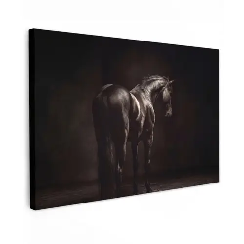 Krachtig - Paard - Donker canvas 2cm klein -z3d