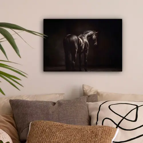 Krachtig - Paard - Donker canvas 2cm klein -sfeer1