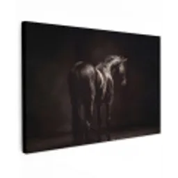 Krachtig - Paard - Donker canvas 2cm klein -z3d