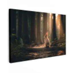 Konijn - Bos - Zonnestralen canvas 2cm klein -z3d
