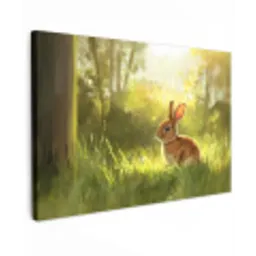 Konijn - Zonlicht - Bos canvas 2cm klein -z3d