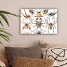 Retro - Spin - Ernst Haeckel - Spinnen canvas 2cm klein -sfeer1