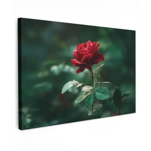 Roos - Bladeren - Dieprood canvas 2cm klein -z3d