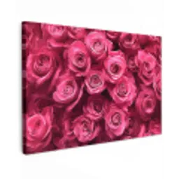 Rozen - Pink - Bloem canvas 2cm klein -z3d