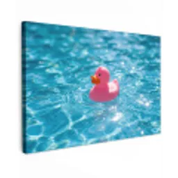 Badeend - Dobberend - Roze canvas 2cm klein -z3d