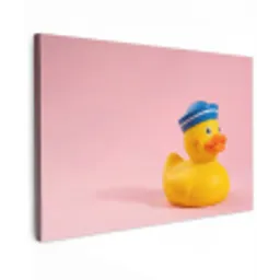 Matroos - Eend - Roze canvas 2cm klein -z3d