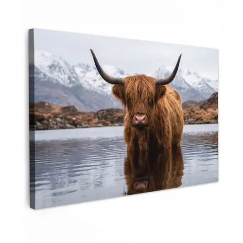 Schotse hooglander - Bruin - Water canvas 2cm klein -z3d