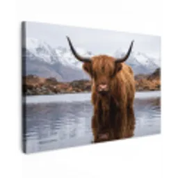 Schotse hooglander - Bruin - Water canvas 2cm klein -z3d