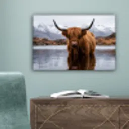 Schotse hooglander - Bruin - Water canvas 2cm klein -sfeer4