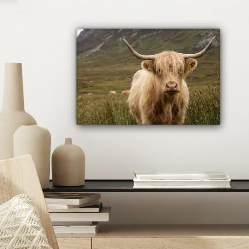 Schotse hooglander - Bergen - Grasveld canvas 2cm klein -sfeer6