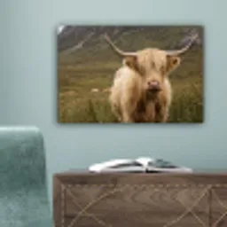 Schotse hooglander - Bergen - Grasveld canvas 2cm klein -sfeer4