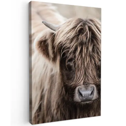 Schotse Hooglander - Dieren - Hoorn canvas 2cm klein -z3d