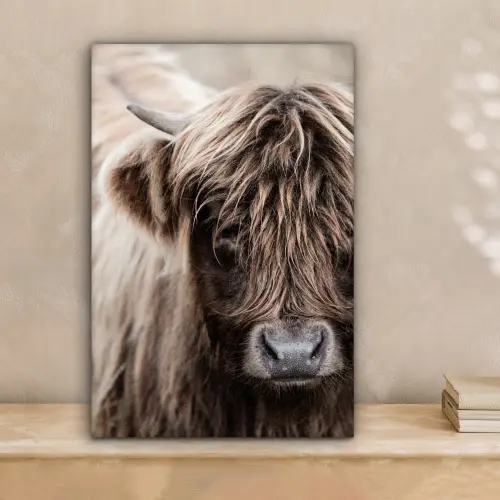 Schotse Hooglander - Dieren - Hoorn canvas 2cm klein -sfeer1