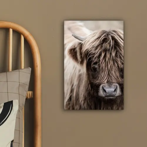 Schotse Hooglander - Dieren - Hoorn canvas 2cm klein -sfeer3