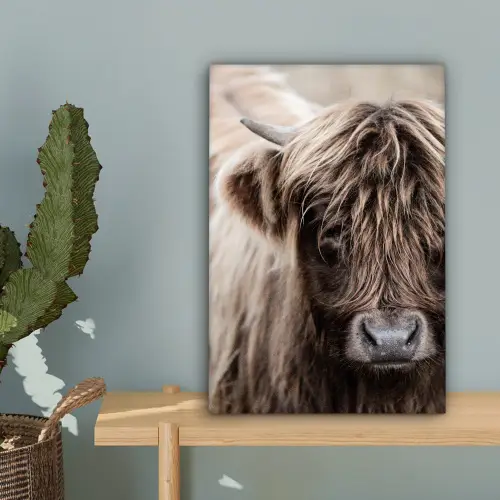Schotse Hooglander - Dieren - Hoorn canvas 2cm klein -sfeer4
