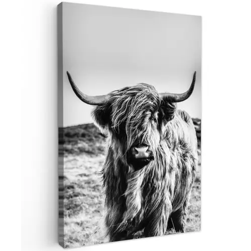 Schotse hooglander - Zwart - Wit canvas 2cm klein -z3d