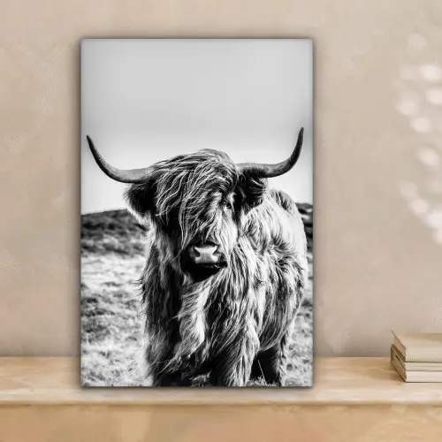Schotse hooglander - Zwart - Wit canvas 2cm klein -sfeer1