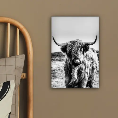 Schotse hooglander - Zwart - Wit canvas 2cm klein -sfeer3