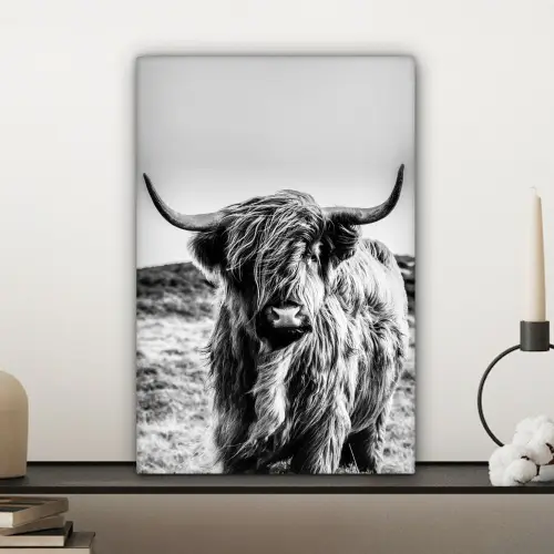 Schotse hooglander - Zwart - Wit canvas 2cm klein -sfeer6