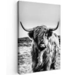 Schotse hooglander - Zwart - Wit canvas 2cm klein -z3d