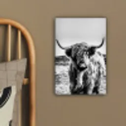Schotse hooglander - Zwart - Wit canvas 2cm klein -sfeer3
