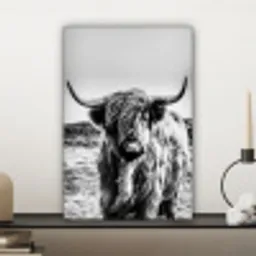 Schotse hooglander - Zwart - Wit canvas 2cm klein -sfeer6