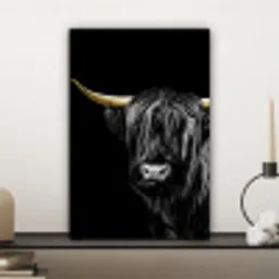 Schotse Hooglander - Goud - Zwart canvas 2cm klein -sfeer6