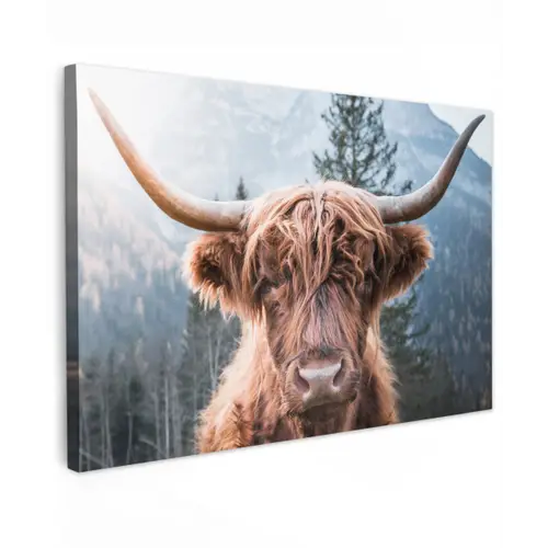 Schotse hooglander - Bergen - Portret canvas 2cm klein -z3d