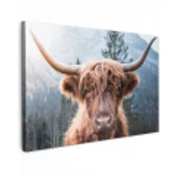 Schotse hooglander - Bergen - Portret canvas 2cm klein -z3d