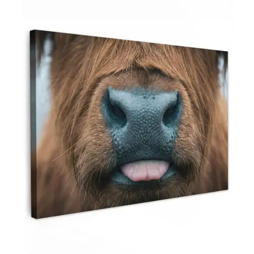 Schotse hooglander - Neus - Bruin canvas 2cm klein -z3d