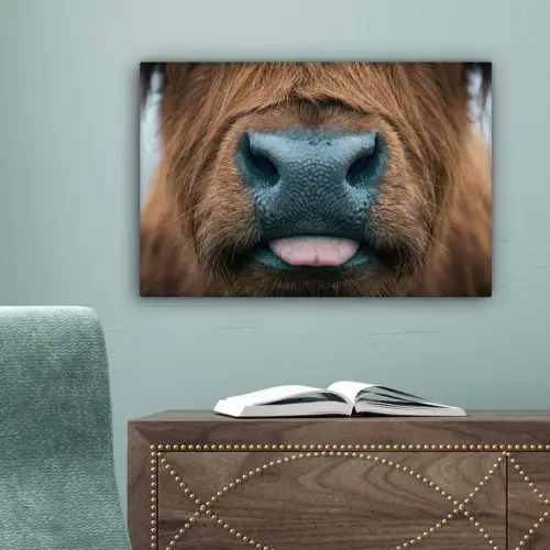 Schotse hooglander - Neus - Bruin canvas 2cm klein -sfeer4