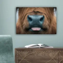 Schotse hooglander - Neus - Bruin canvas 2cm klein -sfeer4