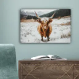 Schotse Hooglander - Sneeuw - Winter - Dieren canvas 2cm klein -sfeer4