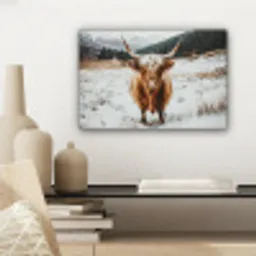 Schotse Hooglander - Sneeuw - Winter - Dieren canvas 2cm klein -sfeer6