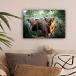 Schotse Hooglanders - Bos - Dieren canvas 2cm klein -sfeer1