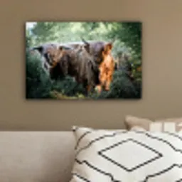 Schotse Hooglanders - Bos - Dieren canvas 2cm klein -sfeer3