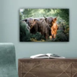 Schotse Hooglanders - Bos - Dieren canvas 2cm klein -sfeer4