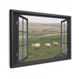 Doorkijk - Gras - Schaap canvas 2cm klein -z3d