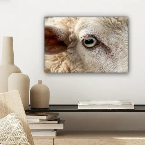 Schaap - Oog - Wit canvas 2cm klein -sfeer6