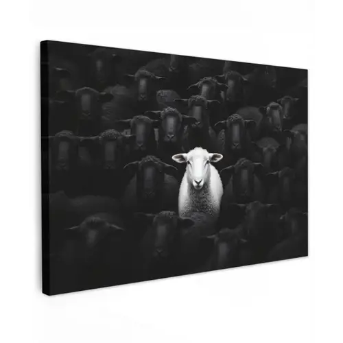 Schapen - Wit - Duisternis canvas 2cm klein -z3d