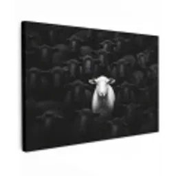 Schapen - Wit - Duisternis canvas 2cm klein -z3d