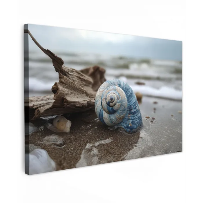 Schelp - Strand - Blauw - Zee canvas 2cm klein -z3d