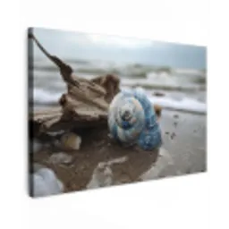 Schelp - Strand - Blauw - Zee canvas 2cm klein -z3d