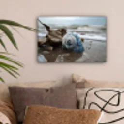 Schelp - Strand - Blauw - Zee canvas 2cm klein -sfeer1