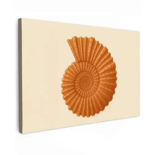 Schelp - Oranje - Ribbels canvas 2cm klein -z3d