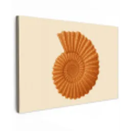 Schelp - Oranje - Ribbels canvas 2cm klein -z3d